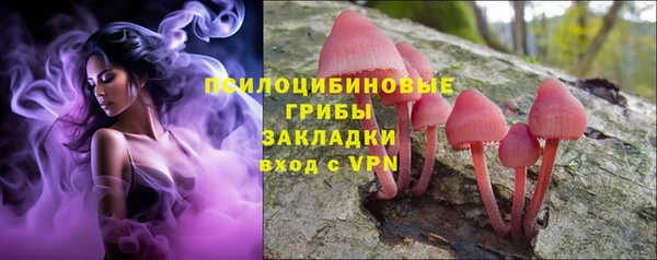 мяу мяу мука Богданович