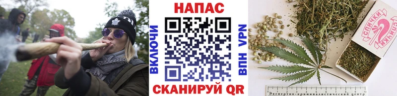 Бошки Шишки гибрид  купить  цена  Клинцы 